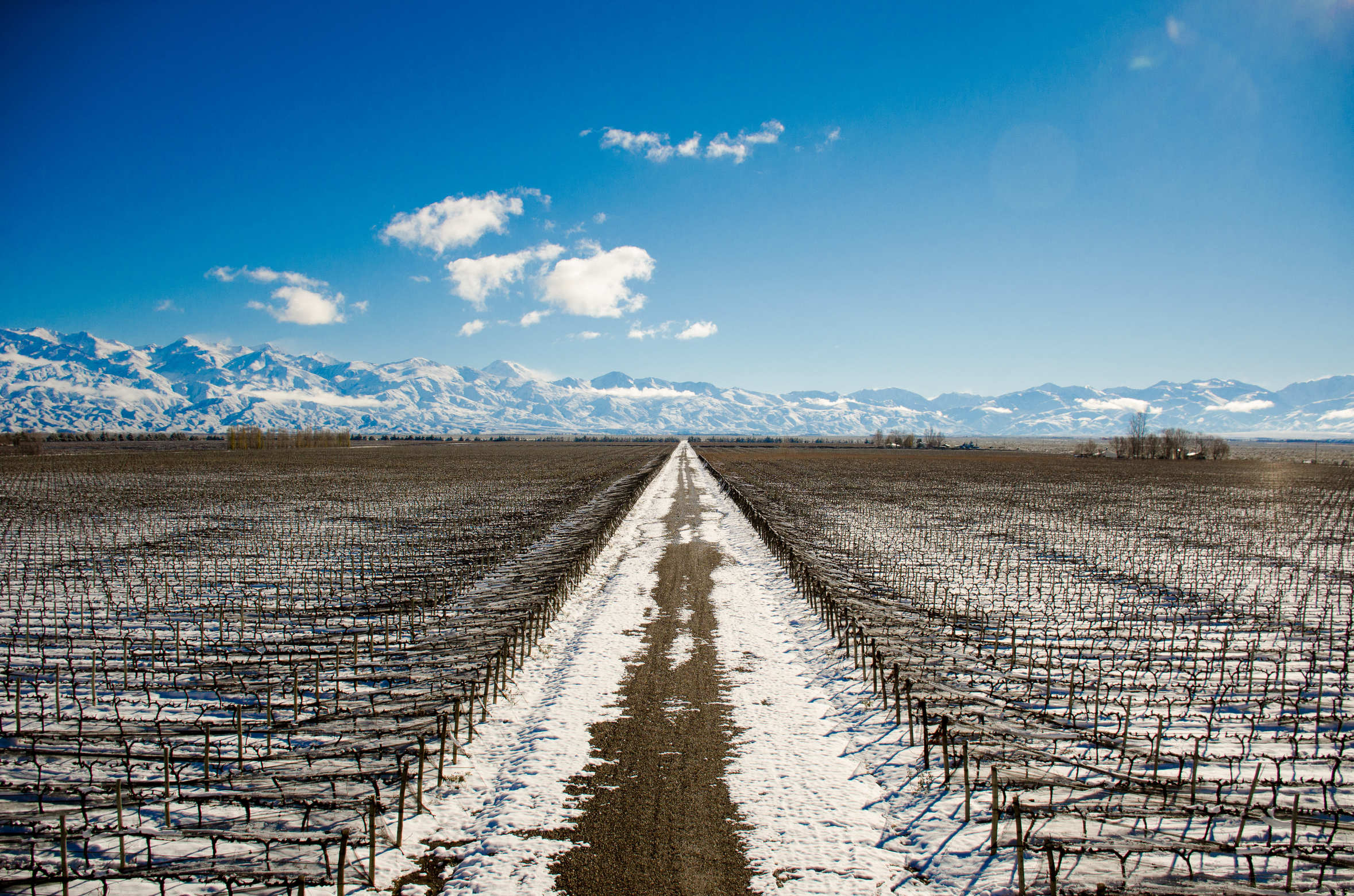 RUTINI nieve 2017 - 001